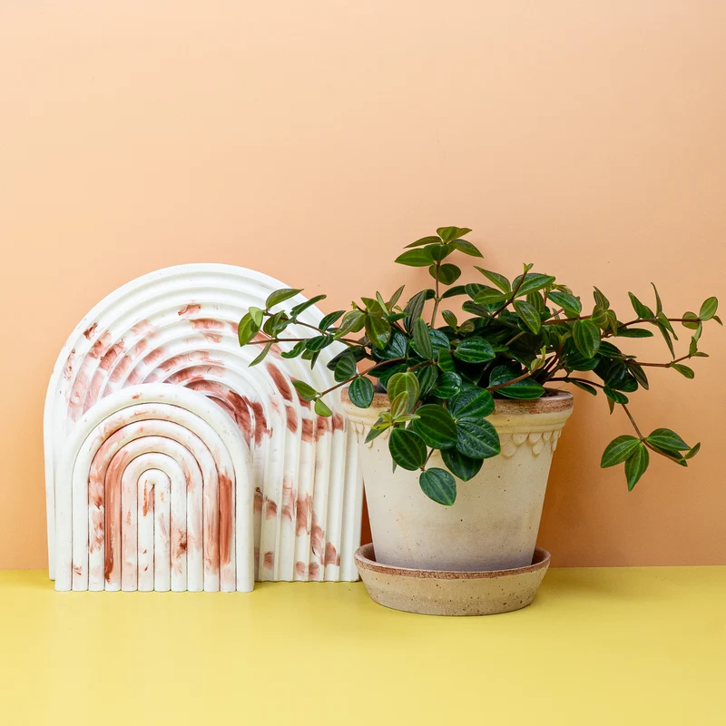 PEPEROMIA ROCCA SCURO