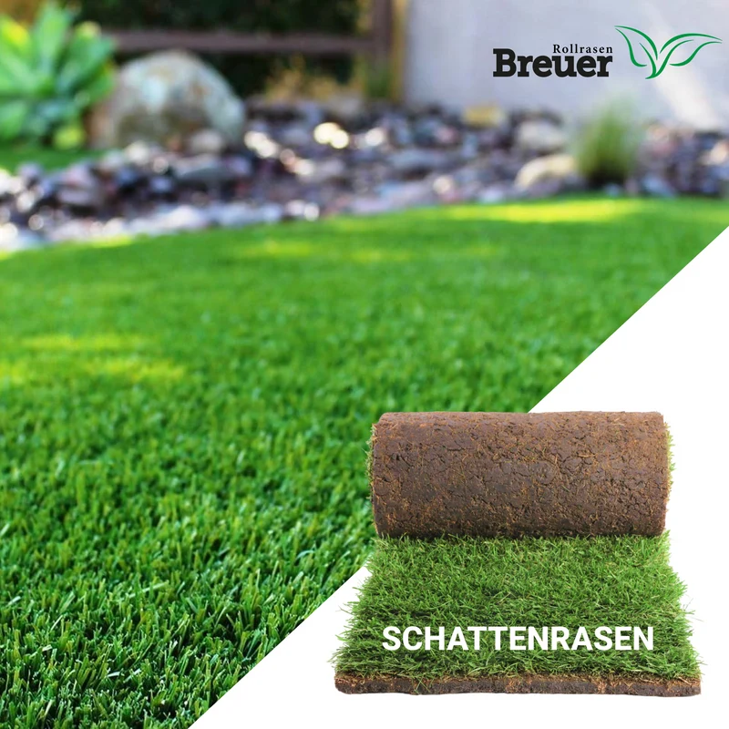 Schattenrasen