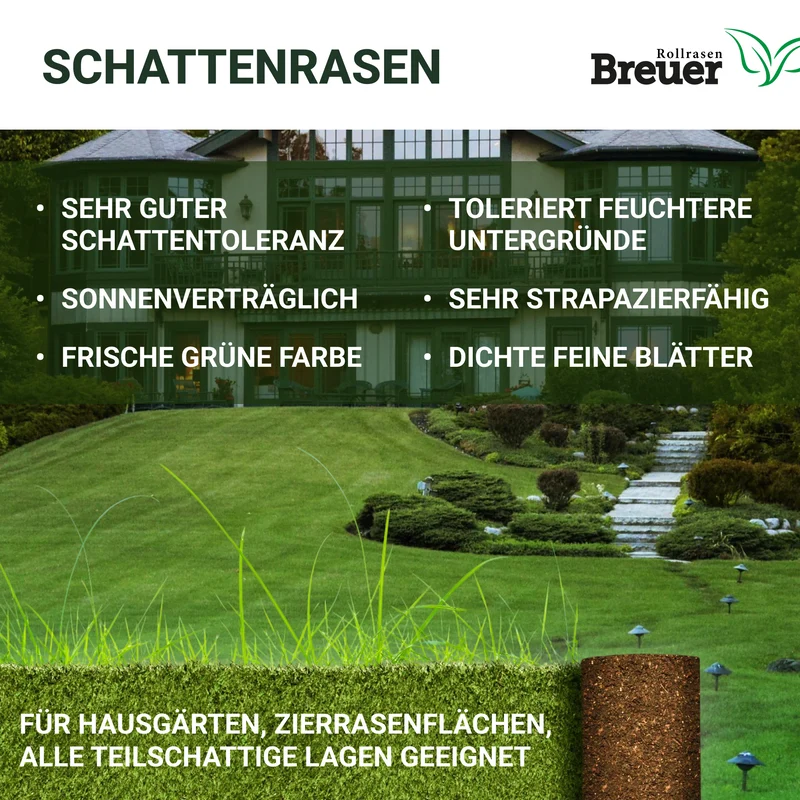 Schattenrasen