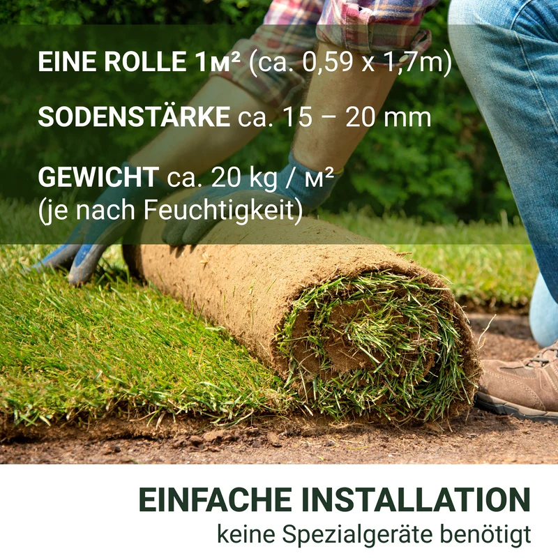 Schattenrasen