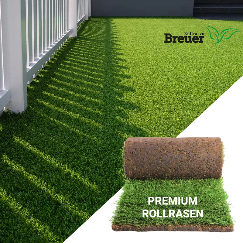 Premium Rollrasen