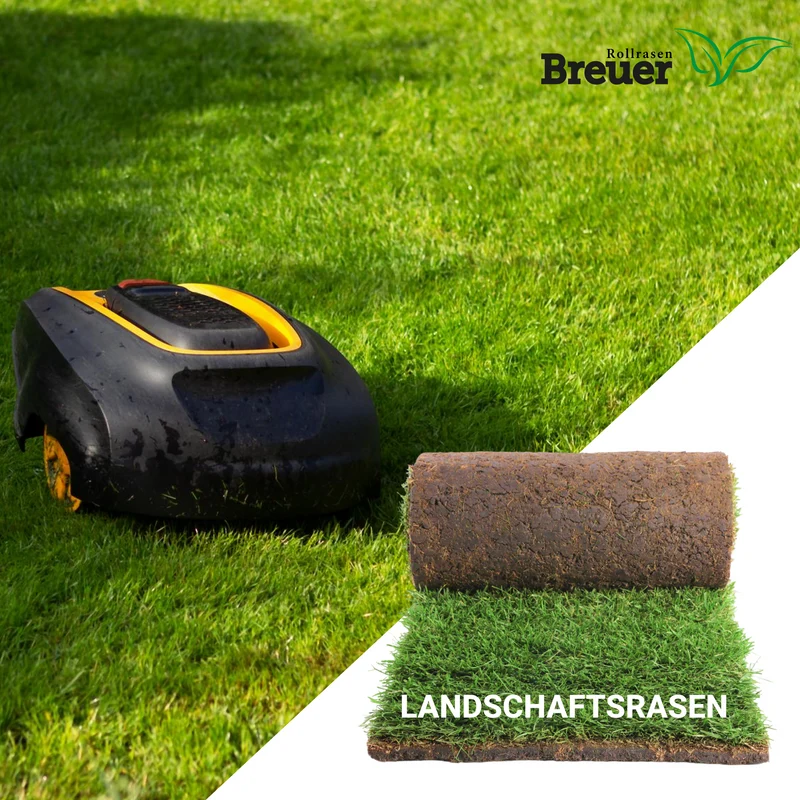 Landschaftsrasen