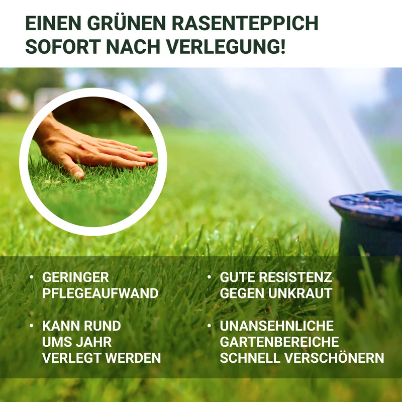 Landschaftsrasen