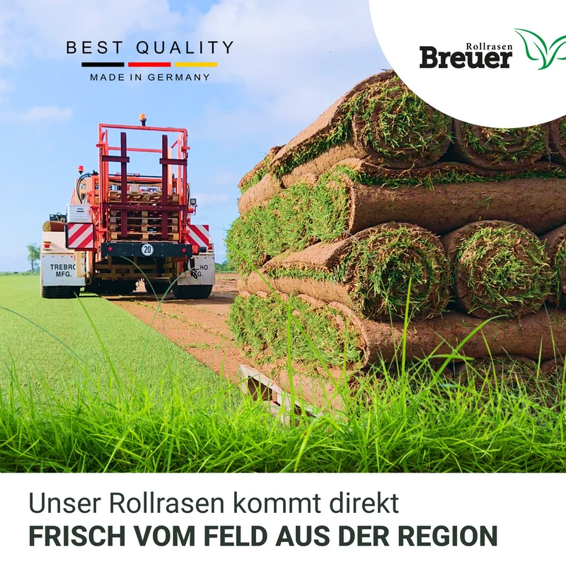 Landschaftsrasen