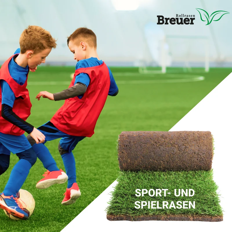 Sport- und Spielrasen