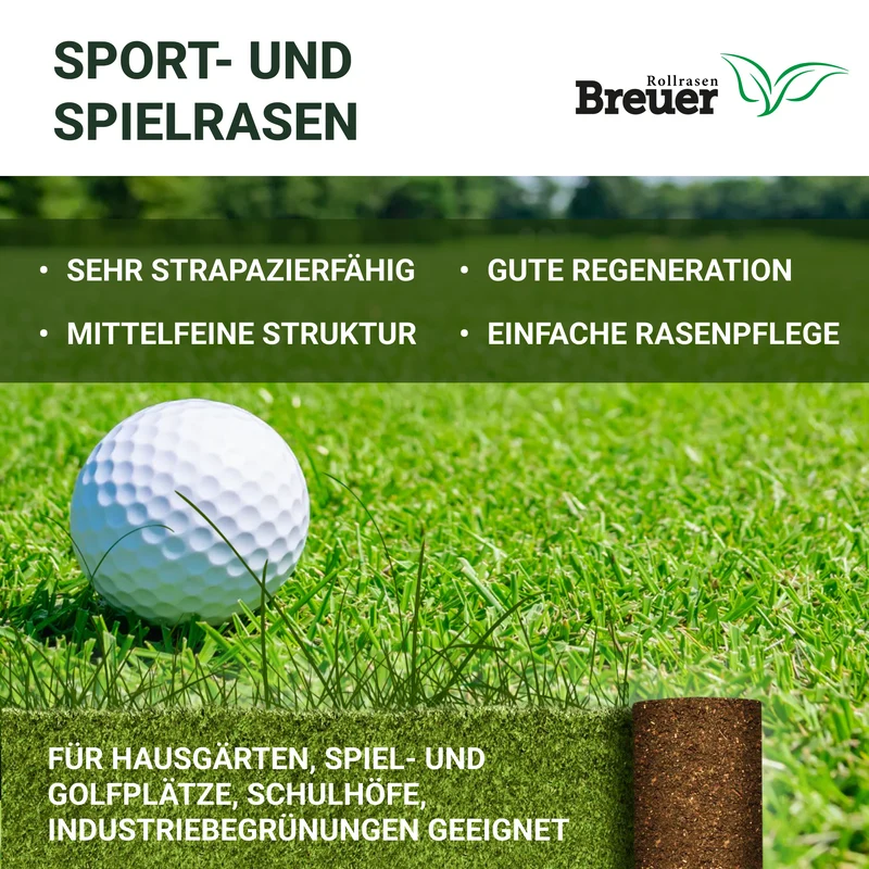 Sport- und Spielrasen