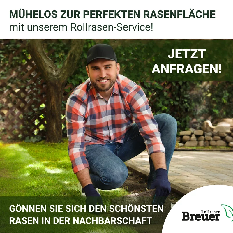 Sport- und Spielrasen