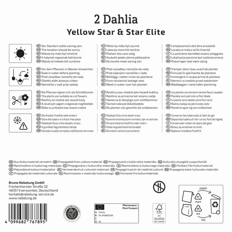 Kiepenkerl Dahlien Duo