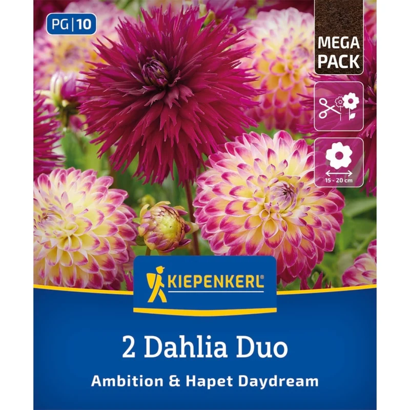Kiepenkerl Dahlien Duo