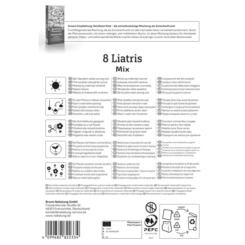 Kiepenkerl Prachtscharte 'Blau & Weiß'
