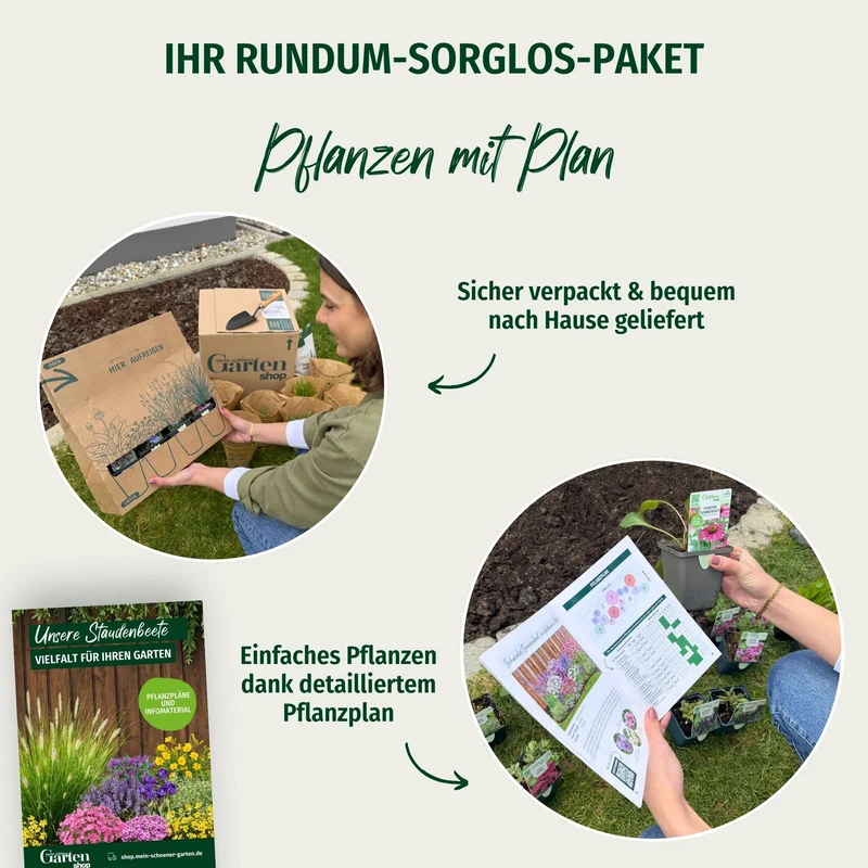 Staudenbeet "Romantischer Bauerngarten"