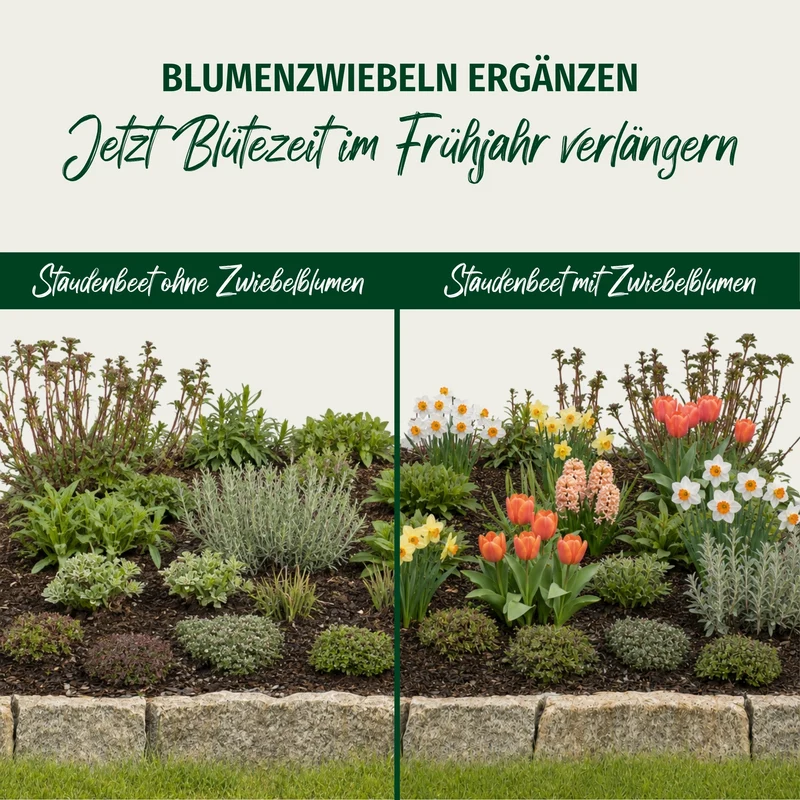 Staudenbeet "Romantischer Bauerngarten"