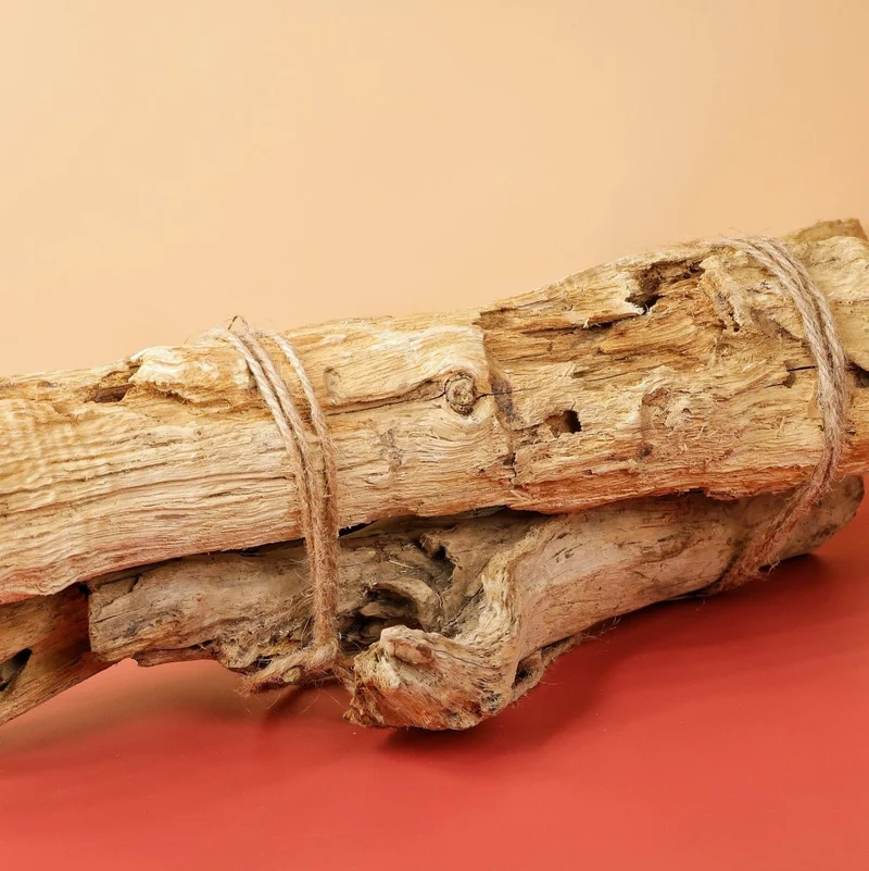 AIRPLANT HOLDER - ROOT LEVANGER