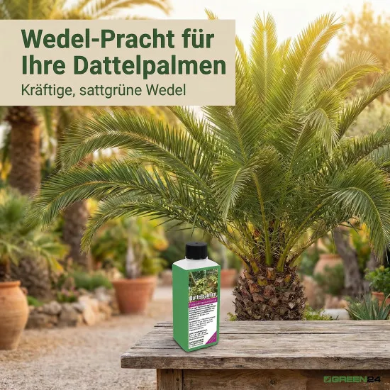 Dattelpalmen-Dünger