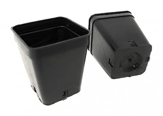 Mini-Vierkanttöpfe 5 × 5 × 6 cm