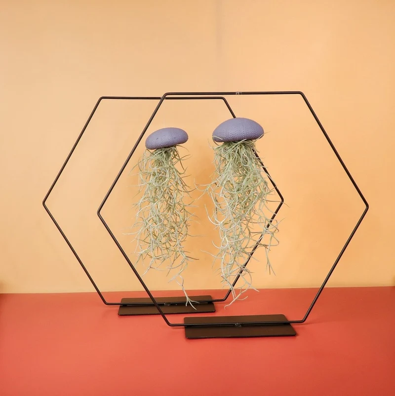 AIRPLANT HOLDER - HEXAGON BLACK