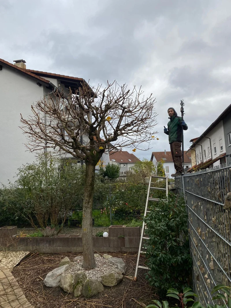 Kostenvoranschlag für Gartengestaltung oder Gartenpflege - Termin in Ihrem Garten