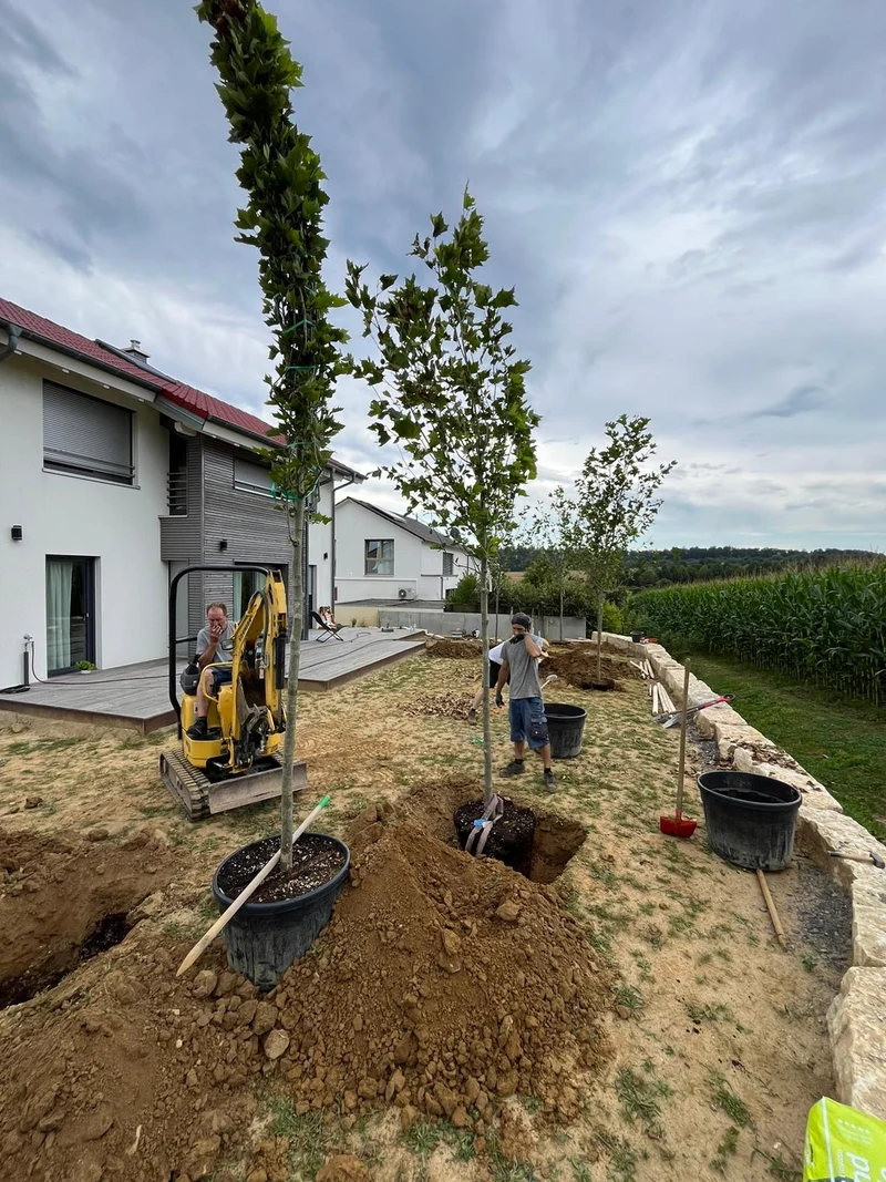 Kostenvoranschlag für Gartengestaltung oder Gartenpflege - Termin in Ihrem Garten