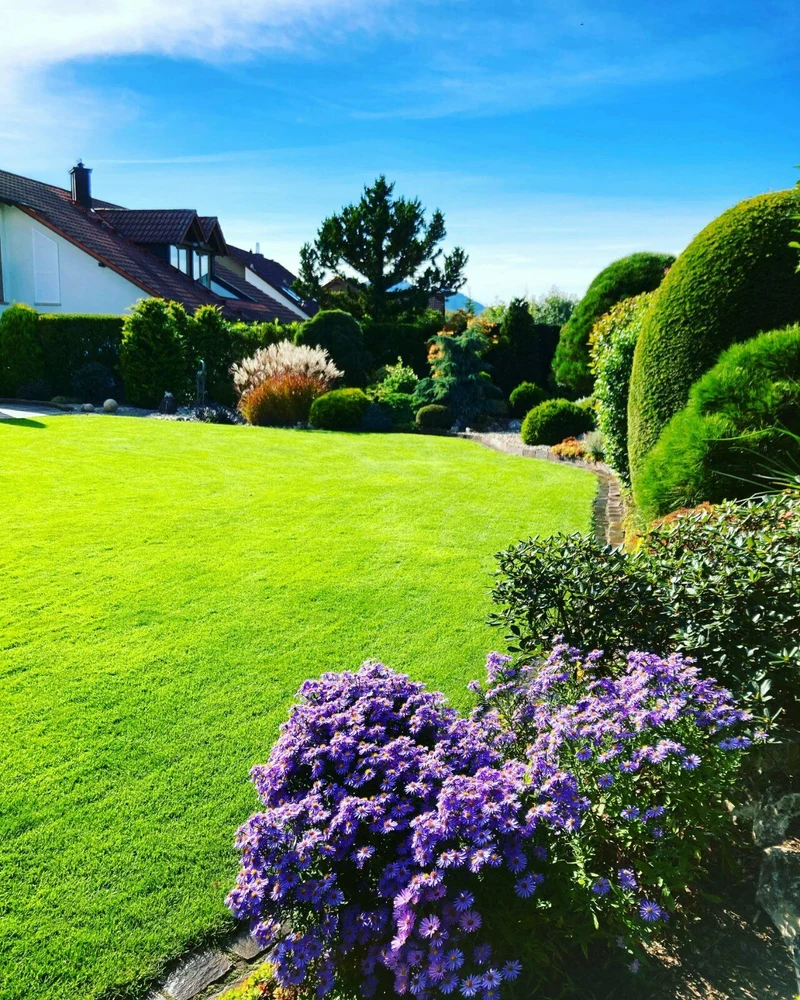 Kostenvoranschlag für Gartengestaltung oder Gartenpflege - Termin in Ihrem Garten