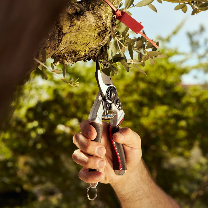 FELCO 8 Elite Bypass-Gartenschere mit Ledergriffen, Größe L