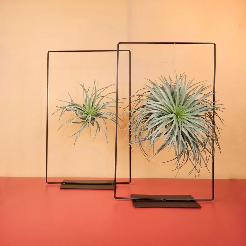 AIRPLANT HOLDER - RECTANGLE BLACK