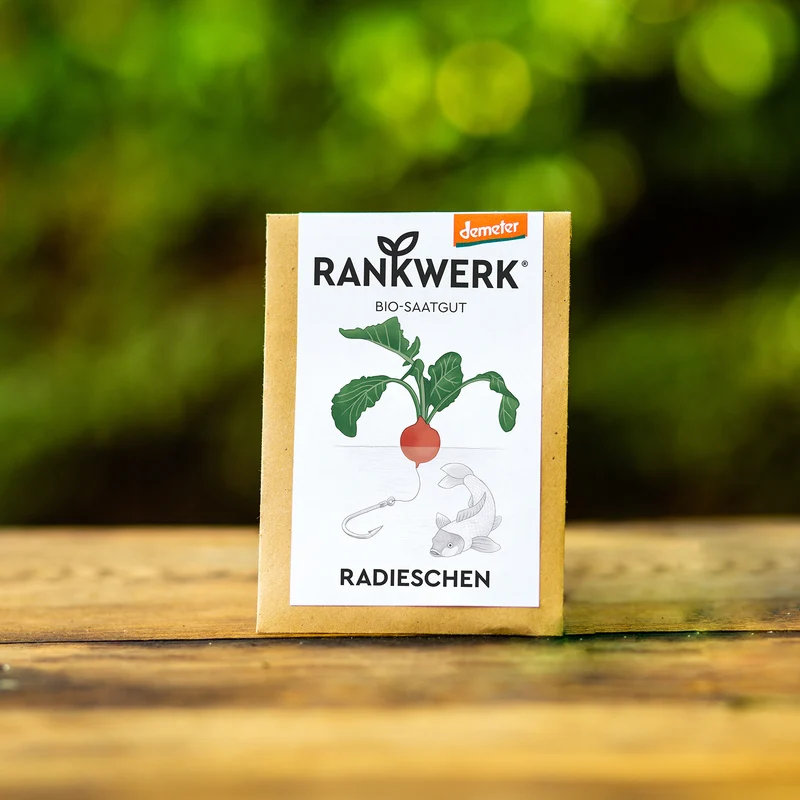 Radieschen "Rudi"