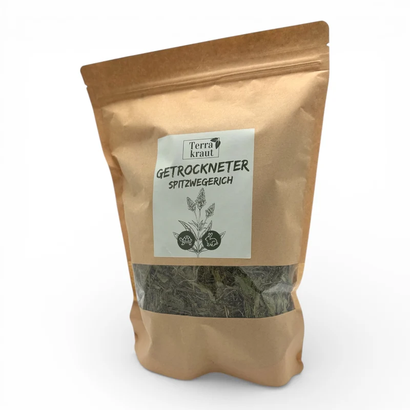 Terrakraut – Getrockneter Spitzwegerich