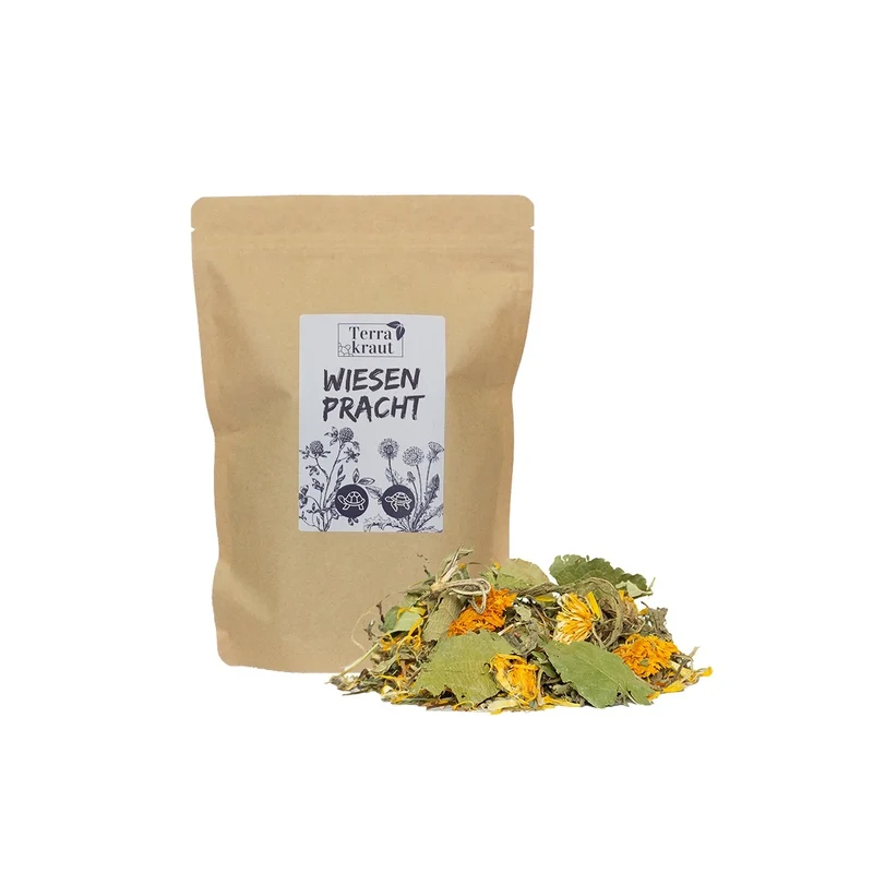 Terrakraut Wiesenpracht