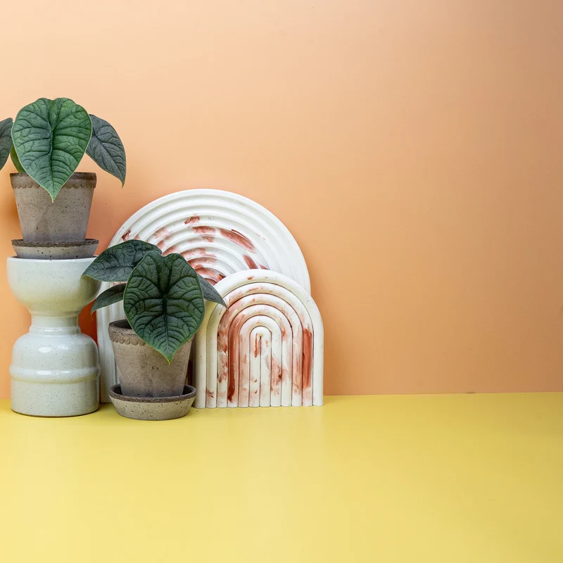 ALOCASIA MELO