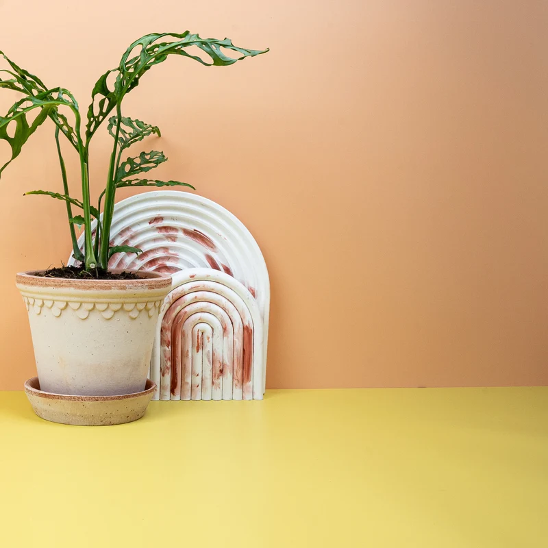 MONSTERA OBLIQUA PERU