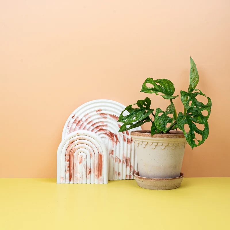 MONSTERA ADANSONII VARIEGATA MINT