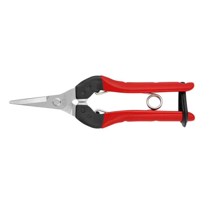 FELCO 321 Ernte- und Leseschere mit gerader Klinge
