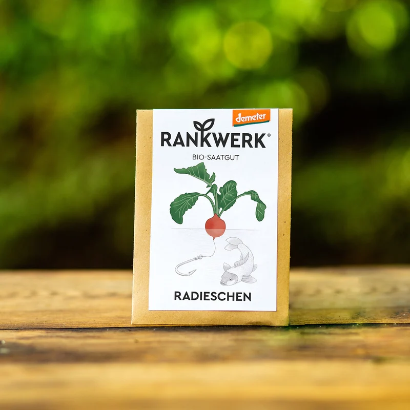 Radieschen "Sora"