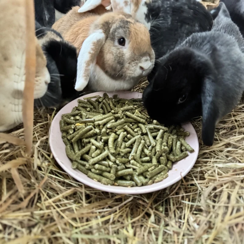 Terrakraut Nager-Pellets