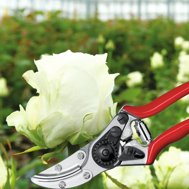 FELCO 100 Blumenpflückschere mit Haltebacken
