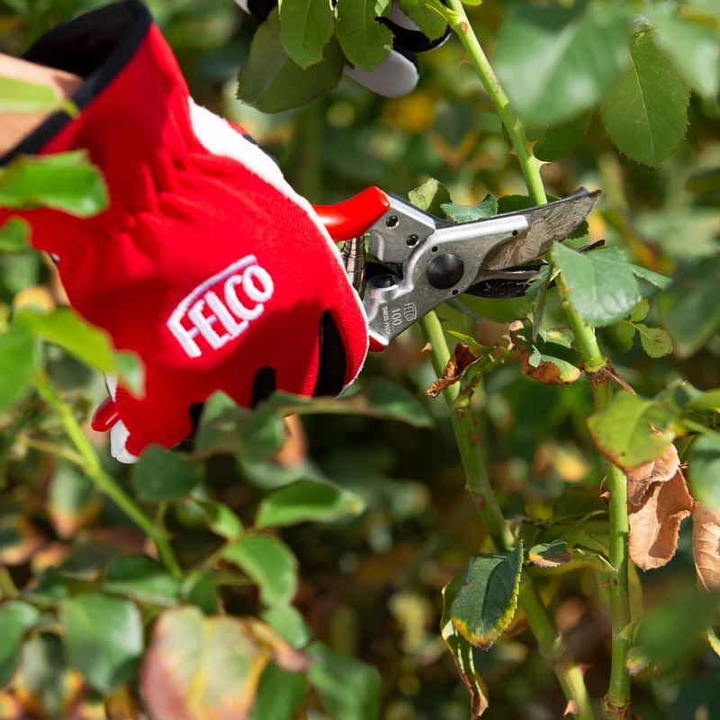 FELCO 100 Blumenpflückschere mit Haltebacken