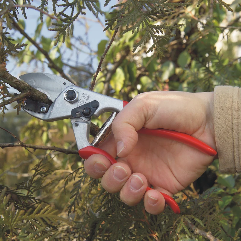 FELCO 31 Amboss-Gartenschere für große Hände