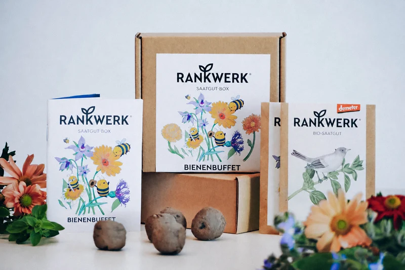 Saatgut-Box „Bienenbuffet“ mit Blumensamen