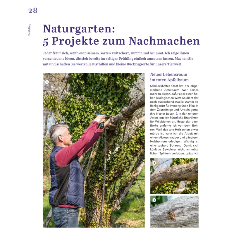 Das Ratgeberbuch 'Dein schöner Garten'