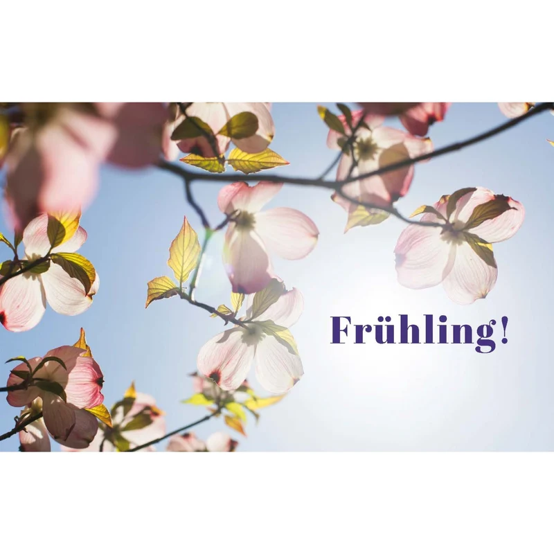 Das Ratgeberbuch 'Dein schöner Garten'