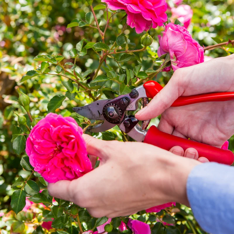 FELCO 15 Rollgriff-Gartenschere – Rechtshänder