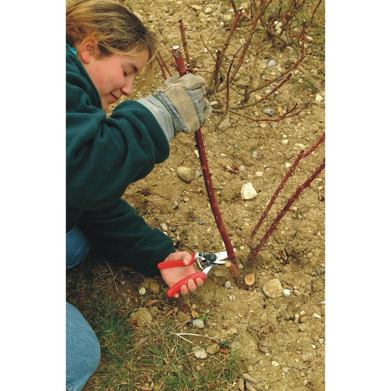 FELCO 10 Rollgriff-Gartenschere – Linkshänder