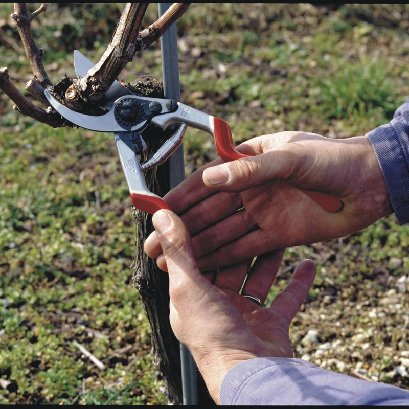 FELCO 13 Gartenschere mit langem Griff