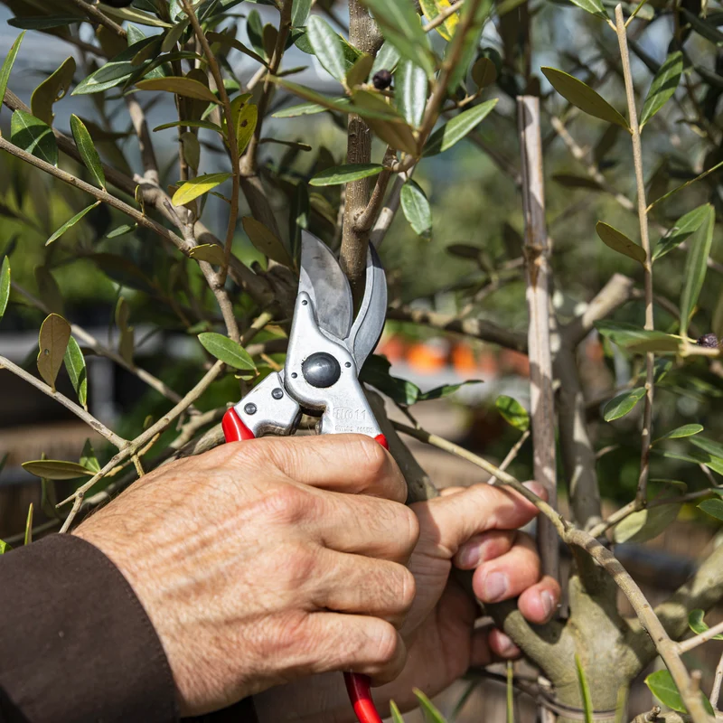 FELCO 11 Bypass-Gartenschere für große Hände