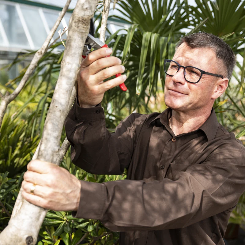 FELCO 11 Bypass-Gartenschere für große Hände