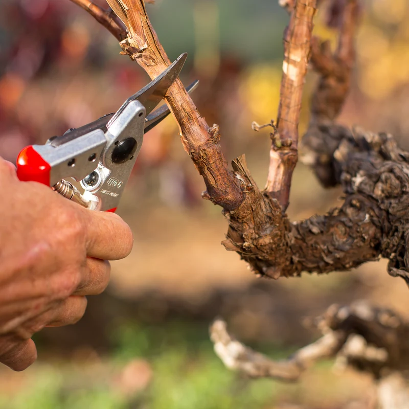 FELCO 6 Bypass-Gartenschere für mittlere Hände