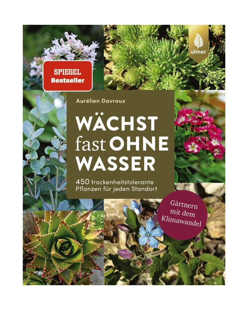 Wächst fast ohne Wasser | Gärtnern mit dem Klimawandel