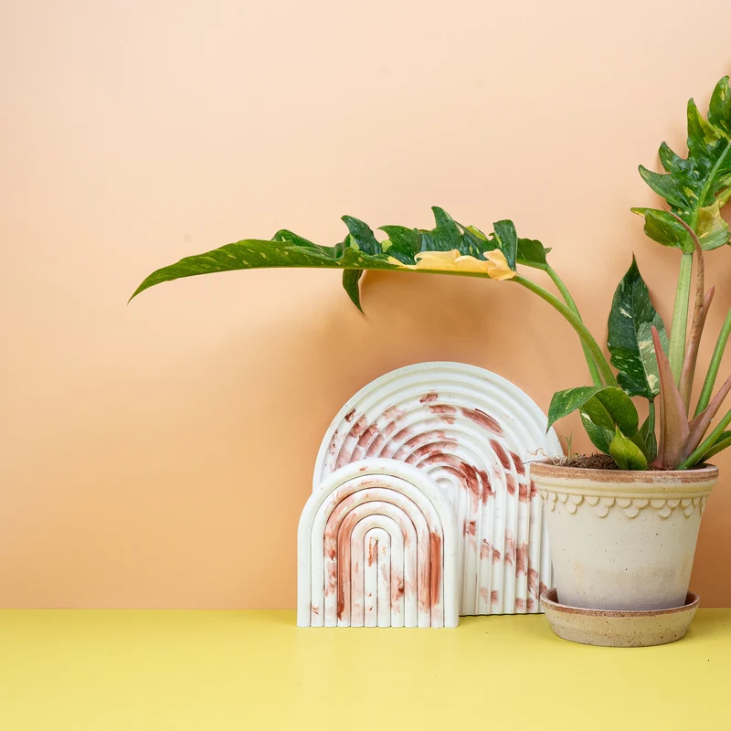 PHILODENDRON RING OF FIRE