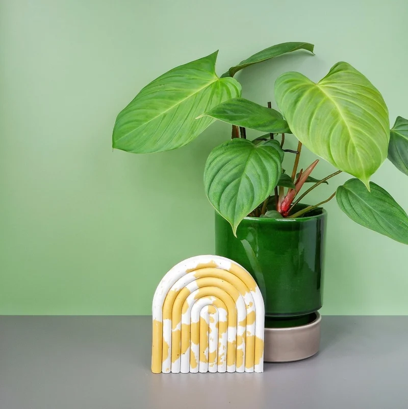 PHILODENDRON NANGARITENSE