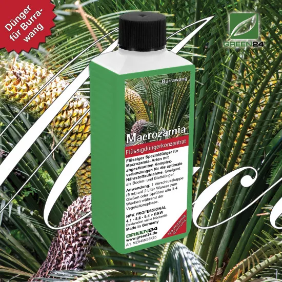 Macrozamia-Dünger